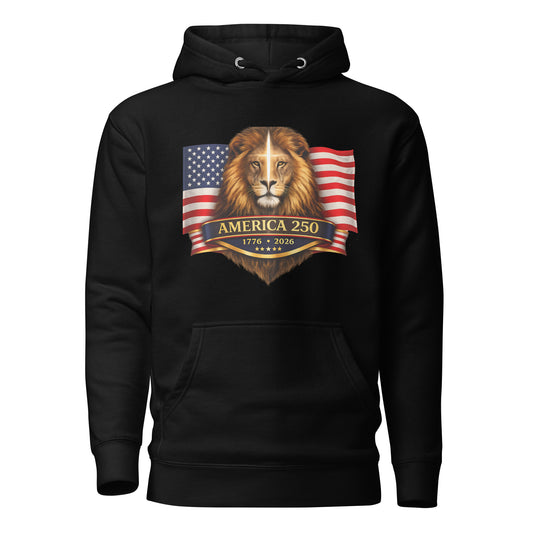 America 250 Founders Hoodie Black front view